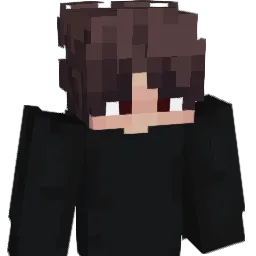 XSAIM