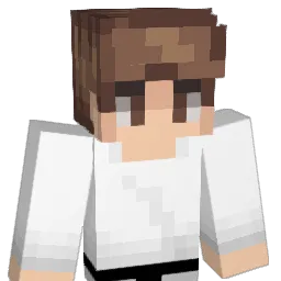 XVSVinny Minecraft avatar bust