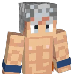 XY97 Minecraft avatar bust