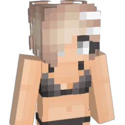 XYSid Minecraft avatar bust