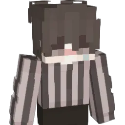 X_4LI_X Minecraft avatar bust