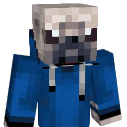 X_PugLife_X Minecraft avatar bust