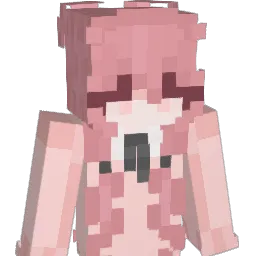 X_Ray Minecraft avatar bust