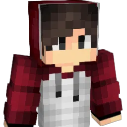 X_reweter_X Minecraft avatar bust