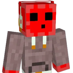 Xach_ Minecraft avatar bust