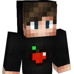 XaeboR Minecraft avatar bust