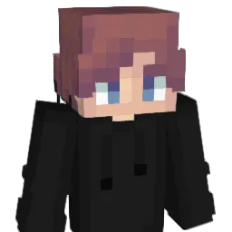 Xaldwinn Minecraft avatar bust