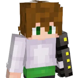 Xavierr_ Minecraft avatar bust