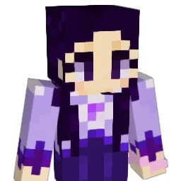 Xellerator01 Minecraft avatar bust