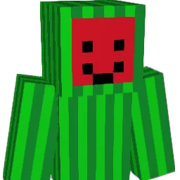 Xelokz Minecraft avatar bust