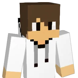 Xenius__ Minecraft avatar bust