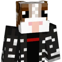 Xerror45's Minecraft skin
