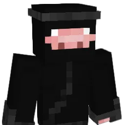 Xiixfn Minecraft avatar bust