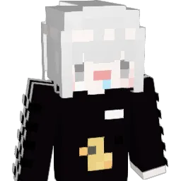 Xin_77_0129 Minecraft avatar bust