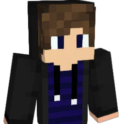 Xin_XG Minecraft avatar bust