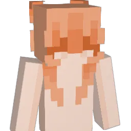 XkwizT Minecraft avatar bust
