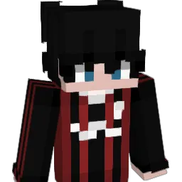 XninjaX1312 Minecraft avatar bust