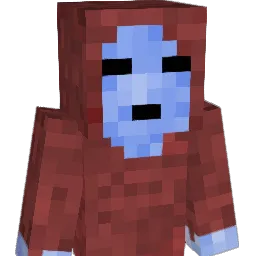Xnopytpico