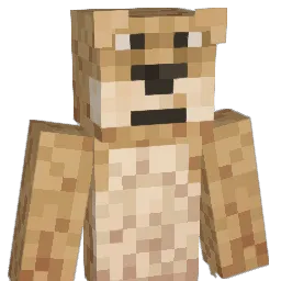 Xpnvats Minecraft avatar bust
