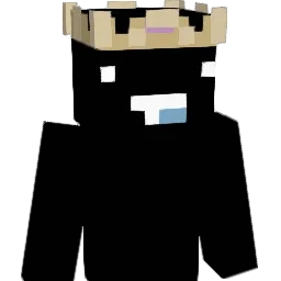 Xqst5 Minecraft avatar bust
