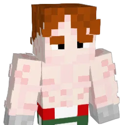 Xra_ShadowSP Minecraft avatar bust