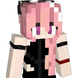 Xtradose Minecraft avatar bust