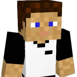 Xvdrom Minecraft avatar bust