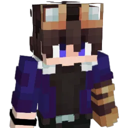 XwDw Minecraft avatar bust