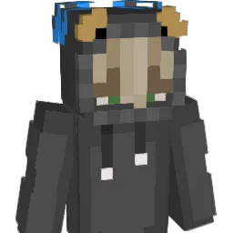 XxBaerxX Minecraft avatar bust