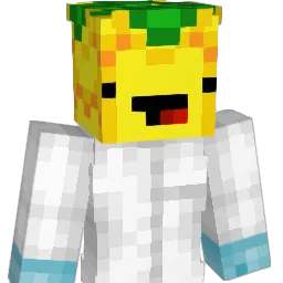 XxDrPineapplexX Minecraft avatar bust