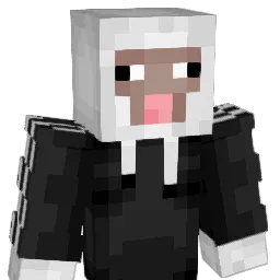 XxMegaMan11xX Minecraft avatar bust