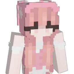 XxSoupyxX Minecraft avatar bust