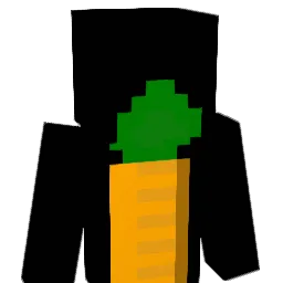XxgigixX_16 Minecraft avatar bust