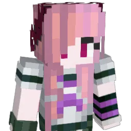Xzbb Minecraft avatar bust