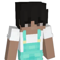 Y0Y0315 Minecraft avatar bust