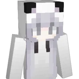 YEwinnie Minecraft avatar bust