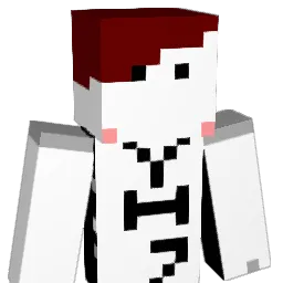 YHzinEY Minecraft avatar bust
