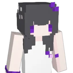 YN___'s Minecraft skin