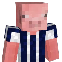 YOSOYELFACHA6996 Minecraft avatar bust