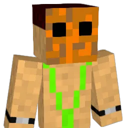 YOU_HAVE_A_WAHT Minecraft avatar bust