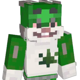 YT_MrILLKA Minecraft avatar bust
