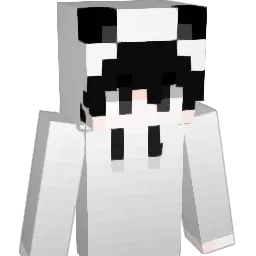 YYANDWW666's Minecraft skin
