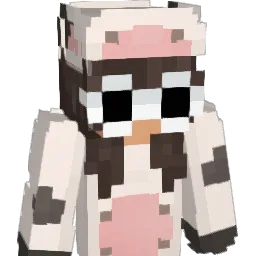 YeHAWWOE Minecraft avatar bust