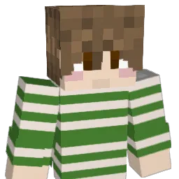 YeetsForWeeks's Minecraft skin