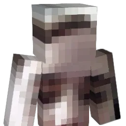 YellinSeagull