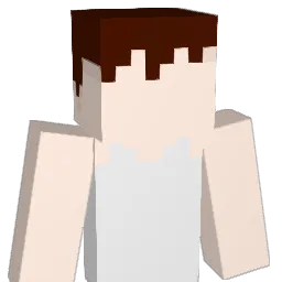 Yenovulp Minecraft avatar bust