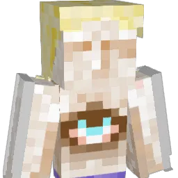 Ymn231 Minecraft avatar bust