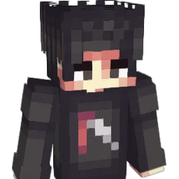 Yokkan_YT Minecraft avatar bust