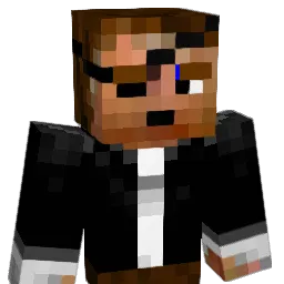 YokomichiSilver Minecraft avatar bust
