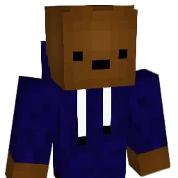 YoloCraft210105 Minecraft avatar bust
